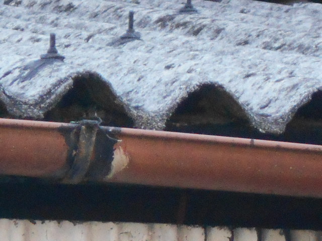 大波スレート屋根調査