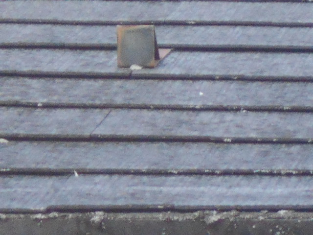 カラーベスト屋根調査