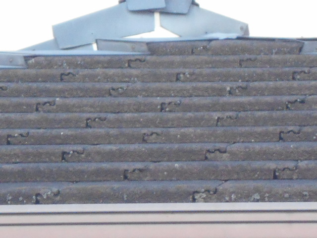 モニエル屋根調査