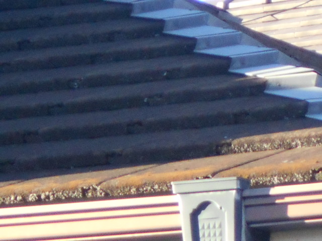 モニエル屋根調査