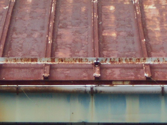 カラートタン瓦棒屋根調査