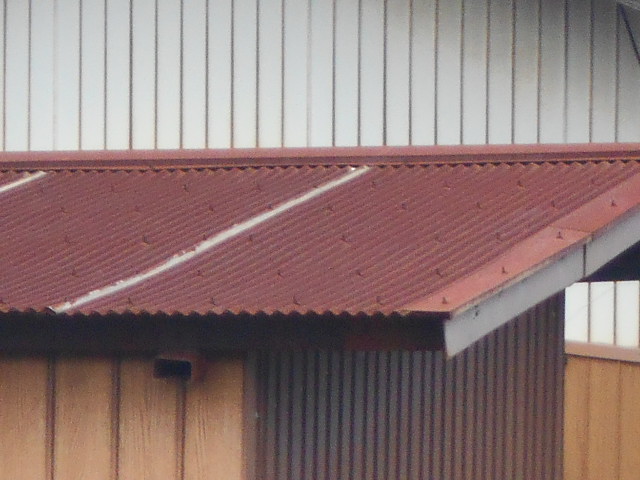 波トタン屋根調査