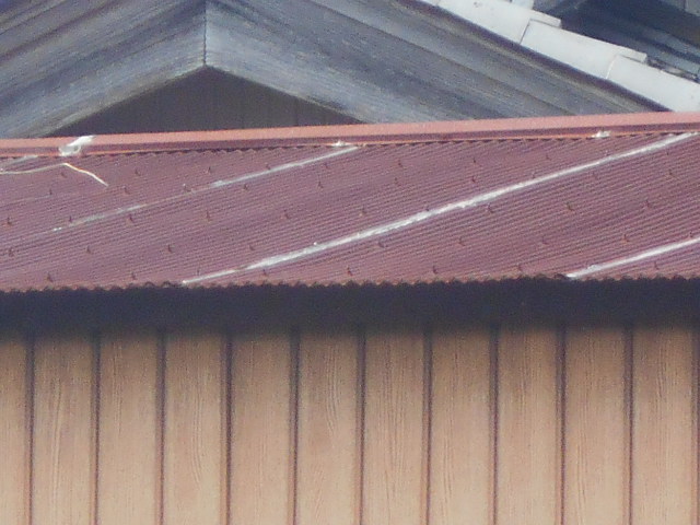 波トタン屋根調査