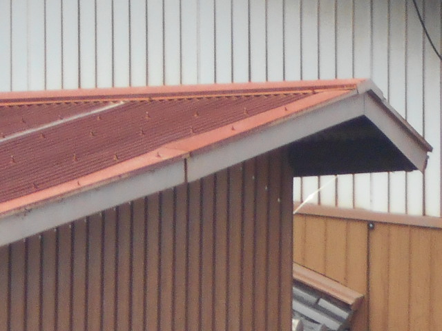 波トタン屋根調査