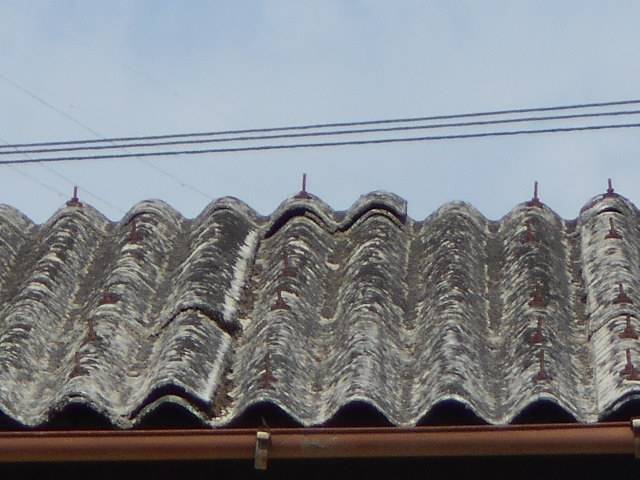 大波スレート屋根調査