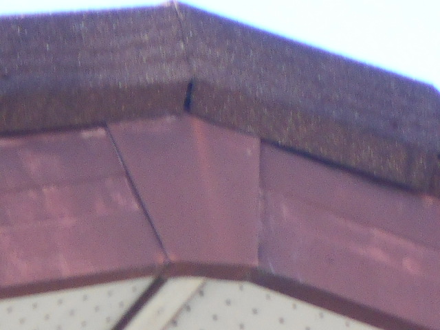 モニエル屋根調査