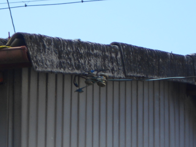 大波スレート屋根調査