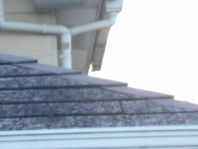 カラーベスト屋根調査