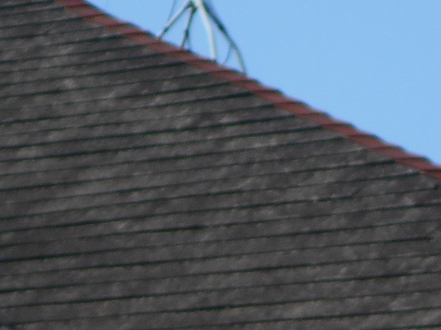 カラーベスト屋根調査