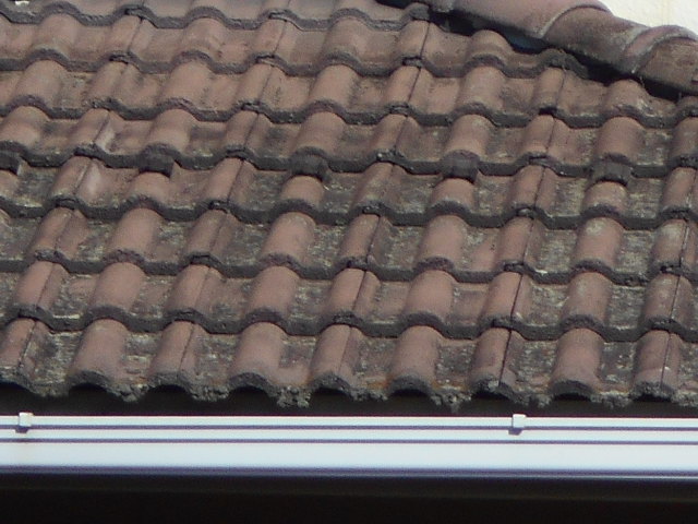 モニエル屋根調査