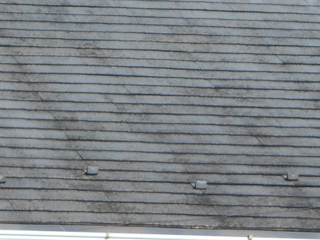 カラーベスト屋根調査