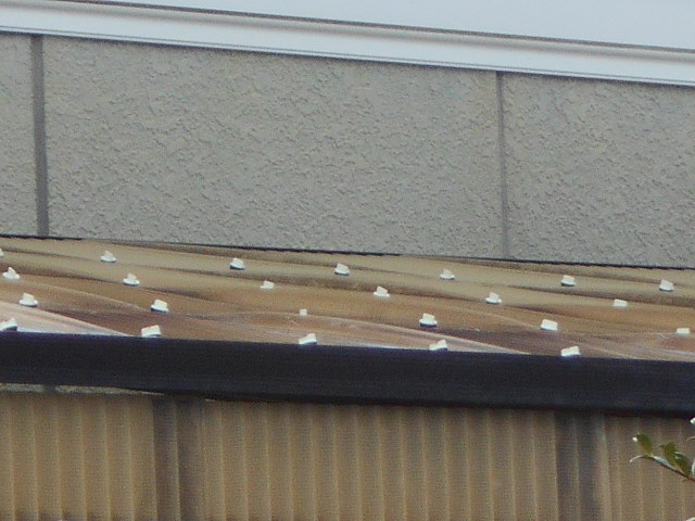 テラス屋根調査