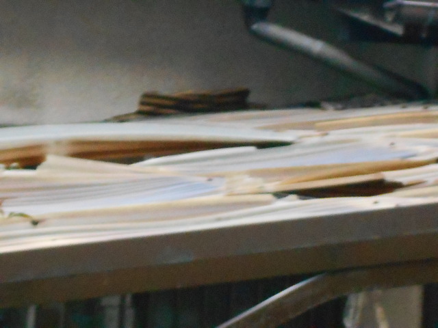 テラス屋根調査