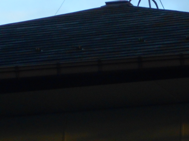 カラーベスト屋根調査