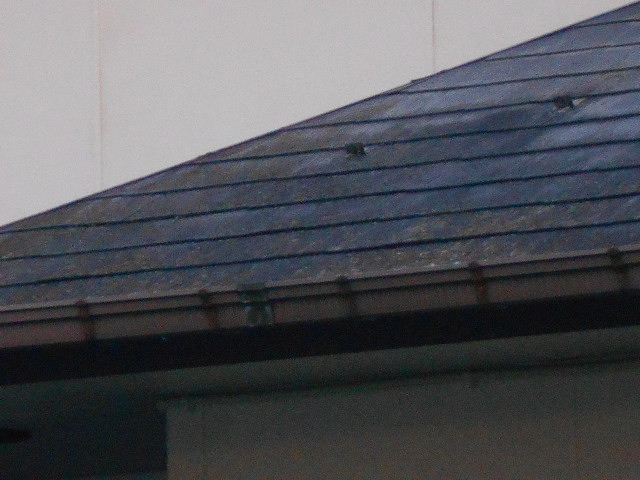 カラーベスト屋根調査