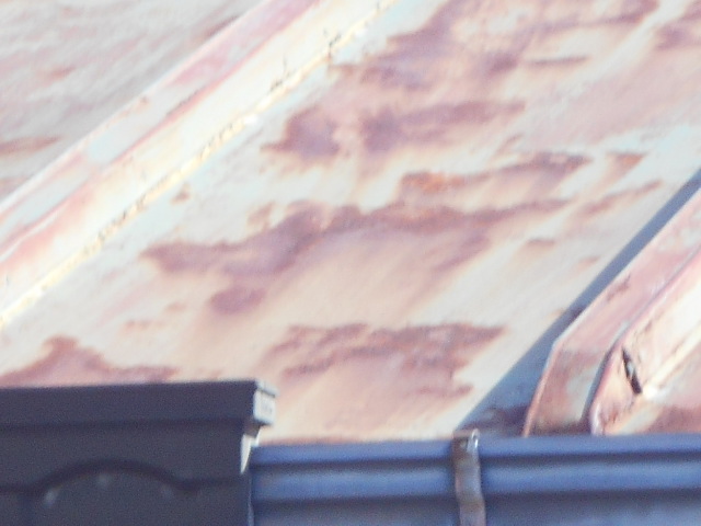 カラートタン瓦棒屋根調査