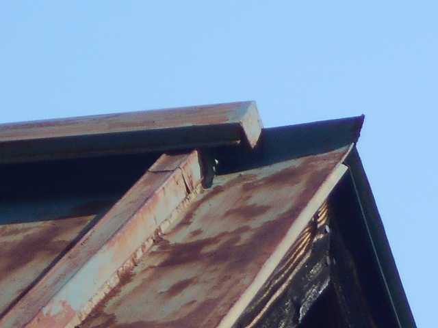 カラートタン瓦棒屋根調査