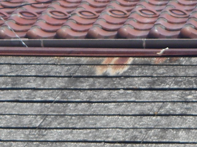 カラーベスト屋根調査