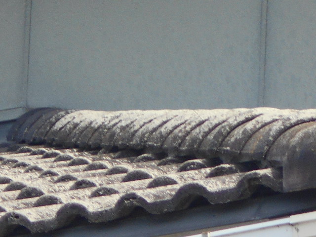 モニエル瓦調査