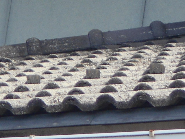 モニエル瓦調査