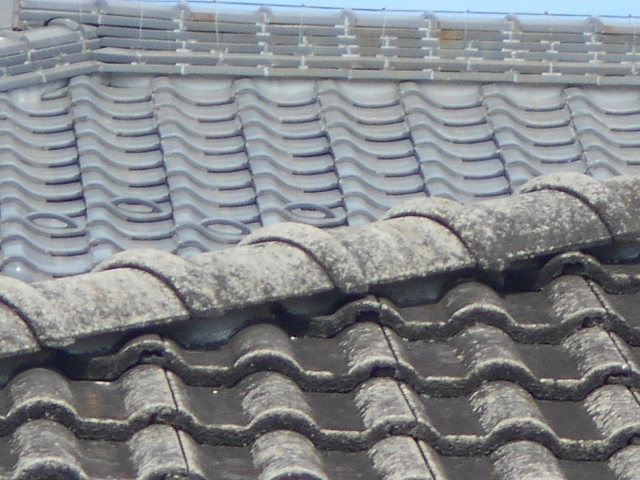 モニエル瓦調査