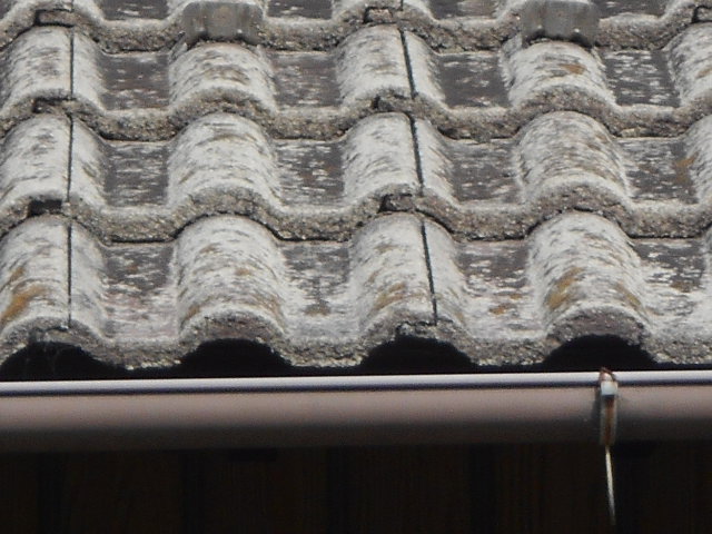 モニエル瓦屋根調査