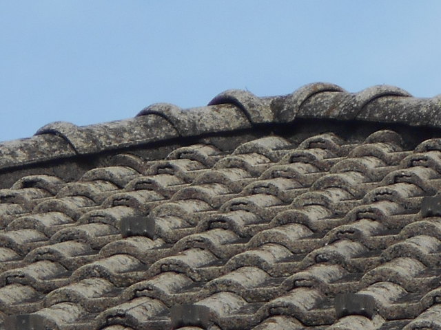 モニエル瓦屋根調査