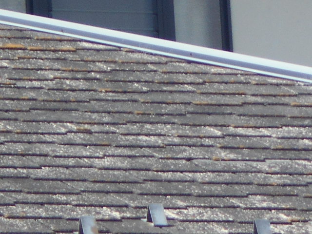 カラーベスト屋根調査