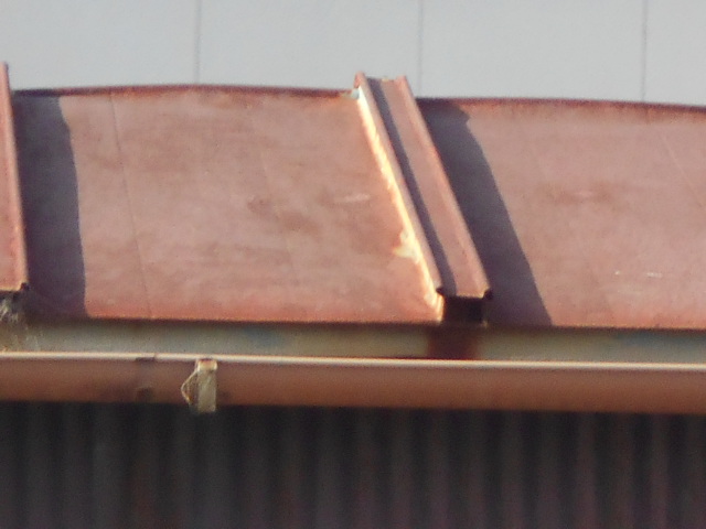 カラートタン瓦棒屋根調査