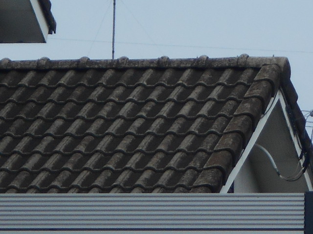 モニエル瓦屋根調査