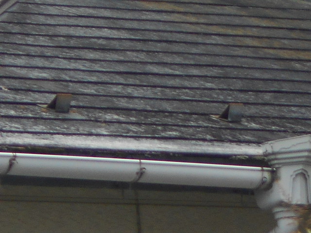 カラーベスト屋根調査