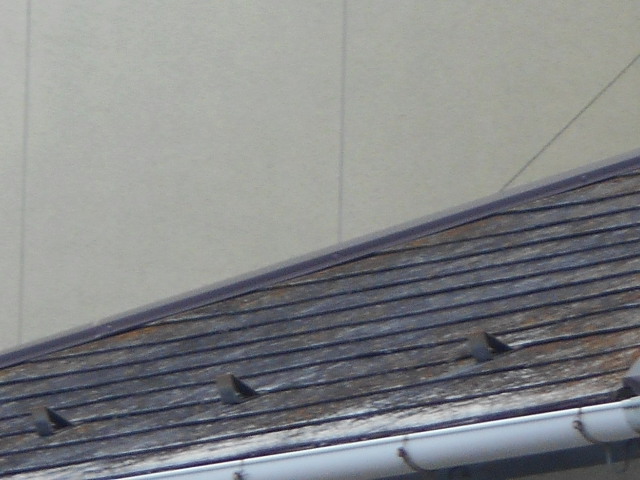 カラーベスト屋根調査