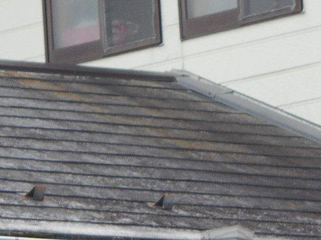 カラーベスト屋根調査