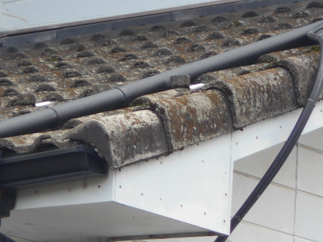 モニエル瓦調査