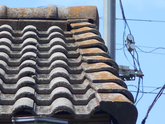 モニエル瓦調査