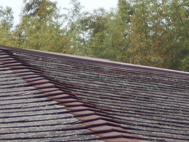 カラーベスト屋根調査