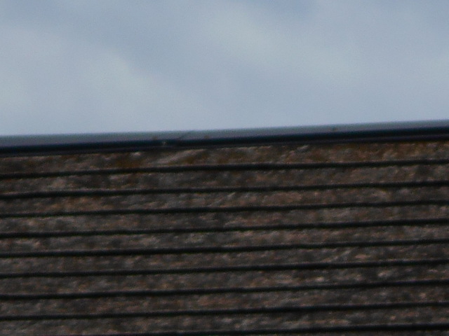 カラーベスト屋根調査