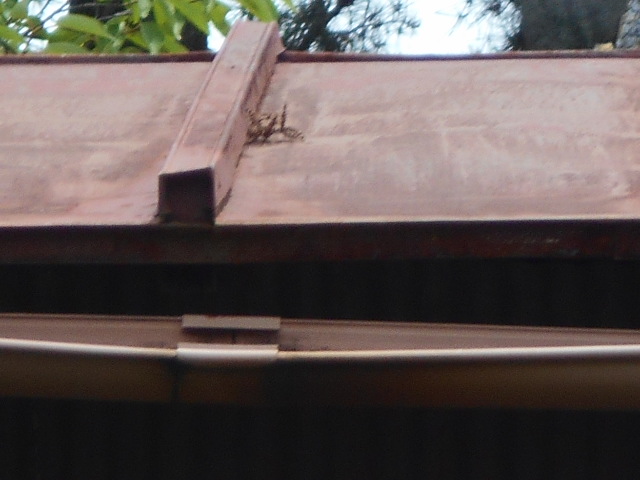 カラートタン瓦棒屋根調査