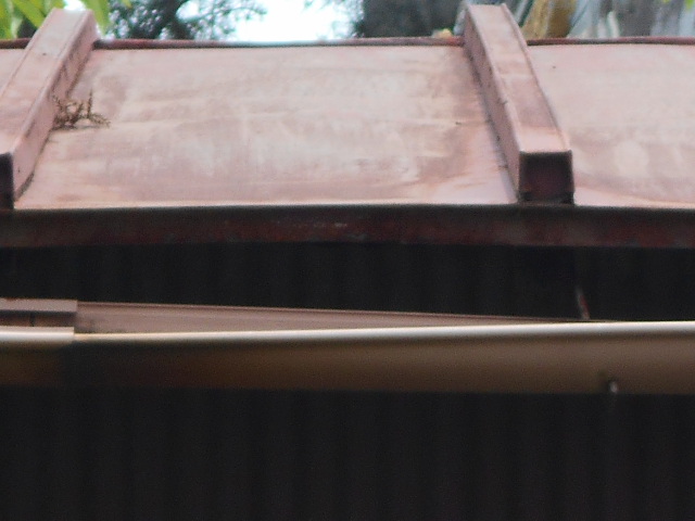 カラートタン瓦棒屋根調査