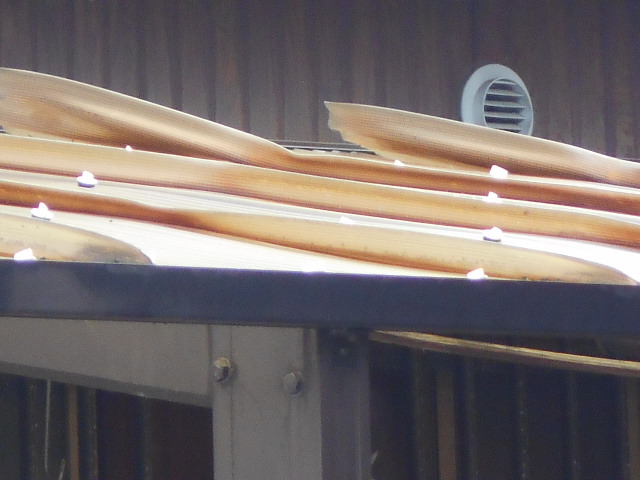 塩ビ波板屋根調査