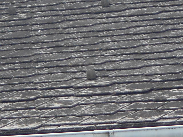 カラーベスト屋根調査