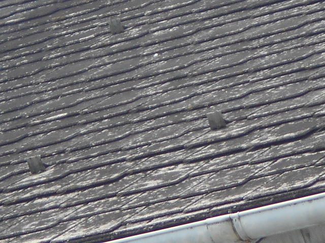 カラーベスト屋根調査