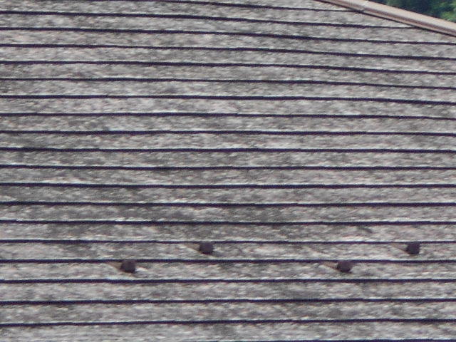 カラーベスト屋根調査