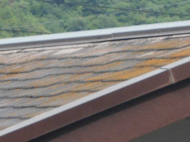 カラーベスト屋根調査からーべすと