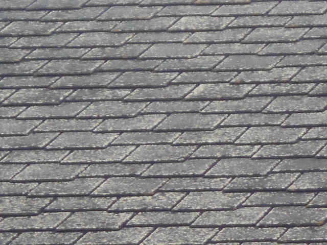 カラーベスト屋根調査