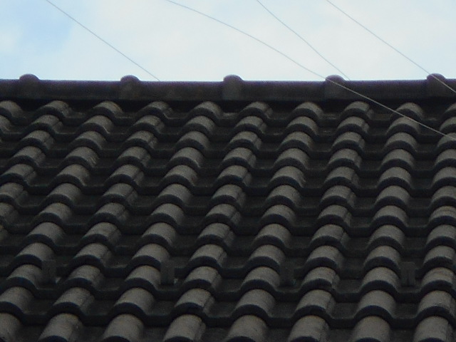 モニエル瓦調査