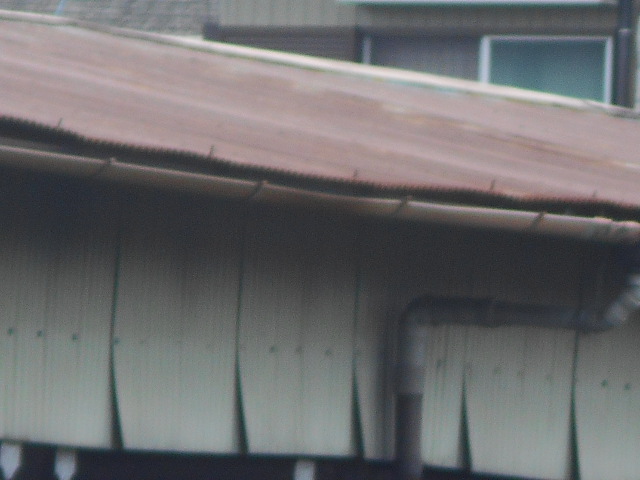 波トタン屋根調査