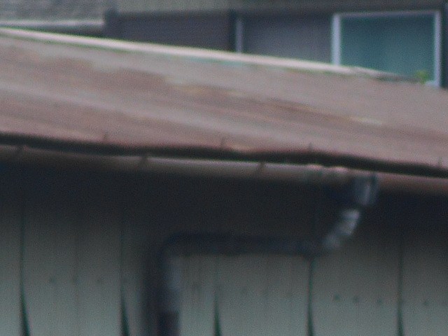 波トタン屋根調査