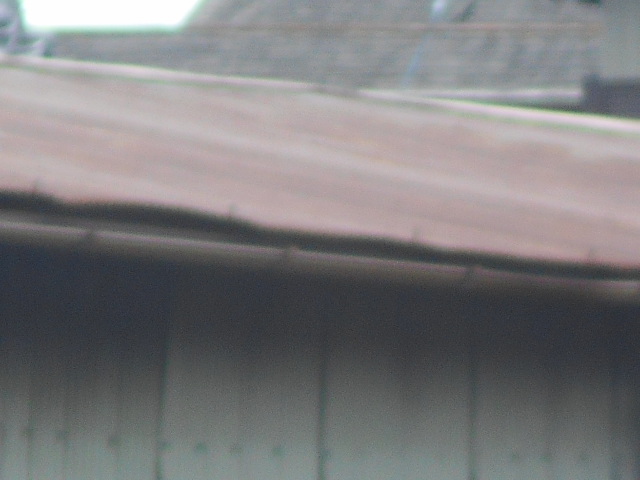 波トタン屋根調査