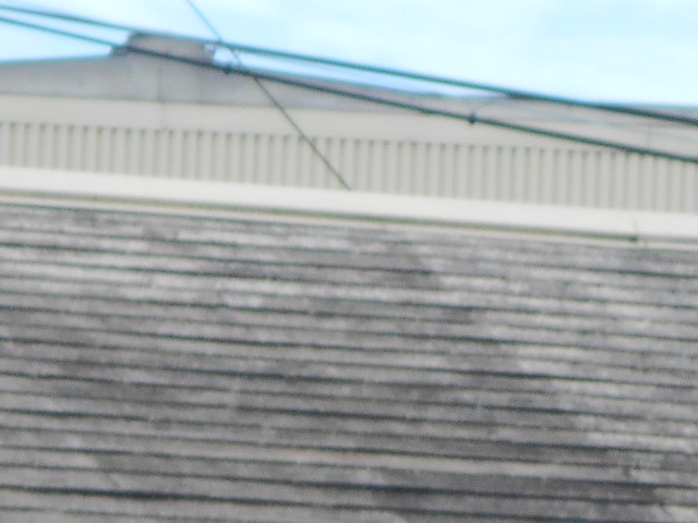 カラーベスト屋根調査